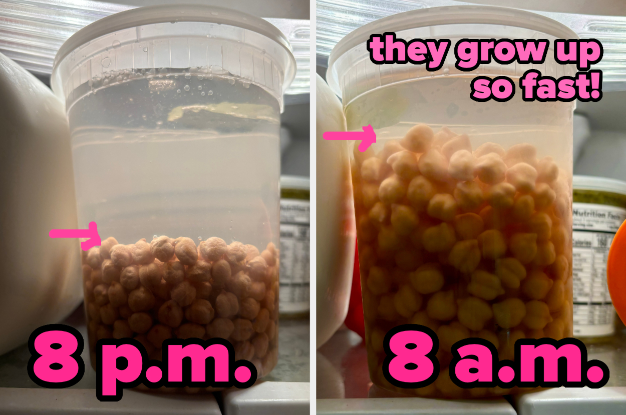 chickpeas soaking and getting bigger overnight in side by side photos container of water in a fridge with the caption "they grow up so fast"