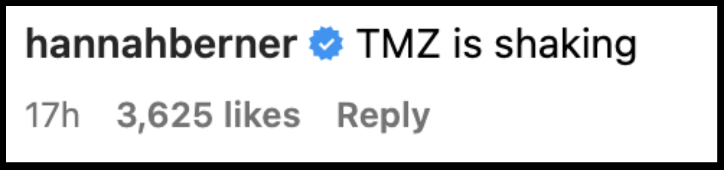 Hannah Berner's comment "TMZ is shaking" has 3,625 likes and was posted 17 hours ago