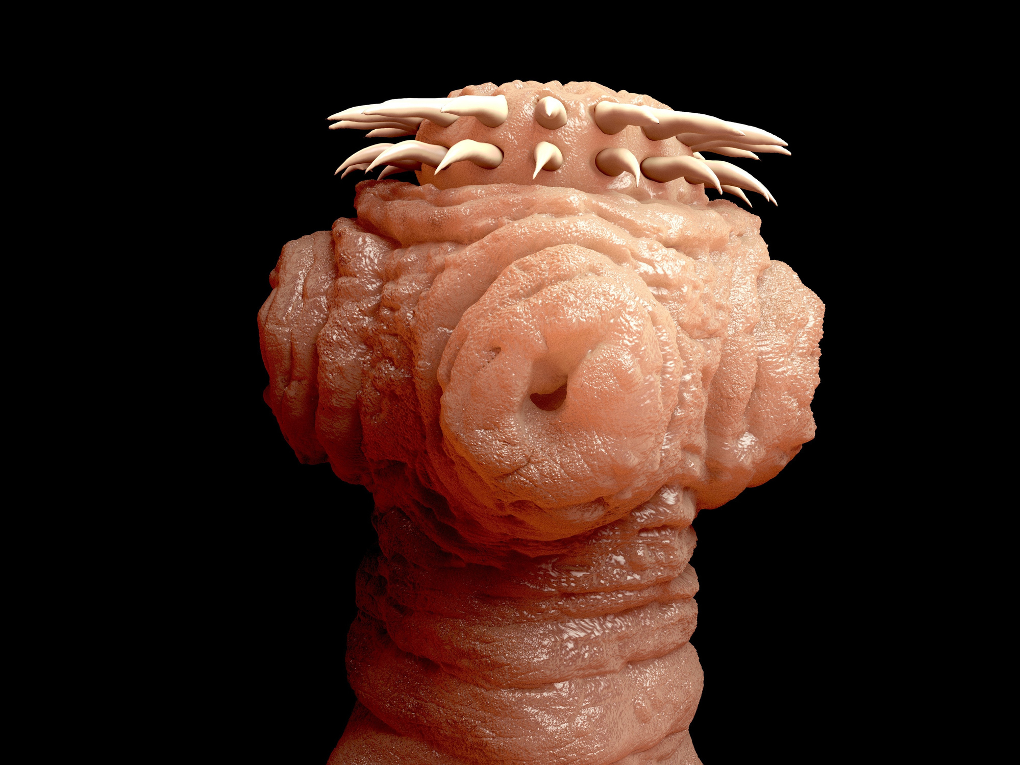 Close-up view of a detailed model of a microscopic organism, showcasing its spiky head and textured body against a black background