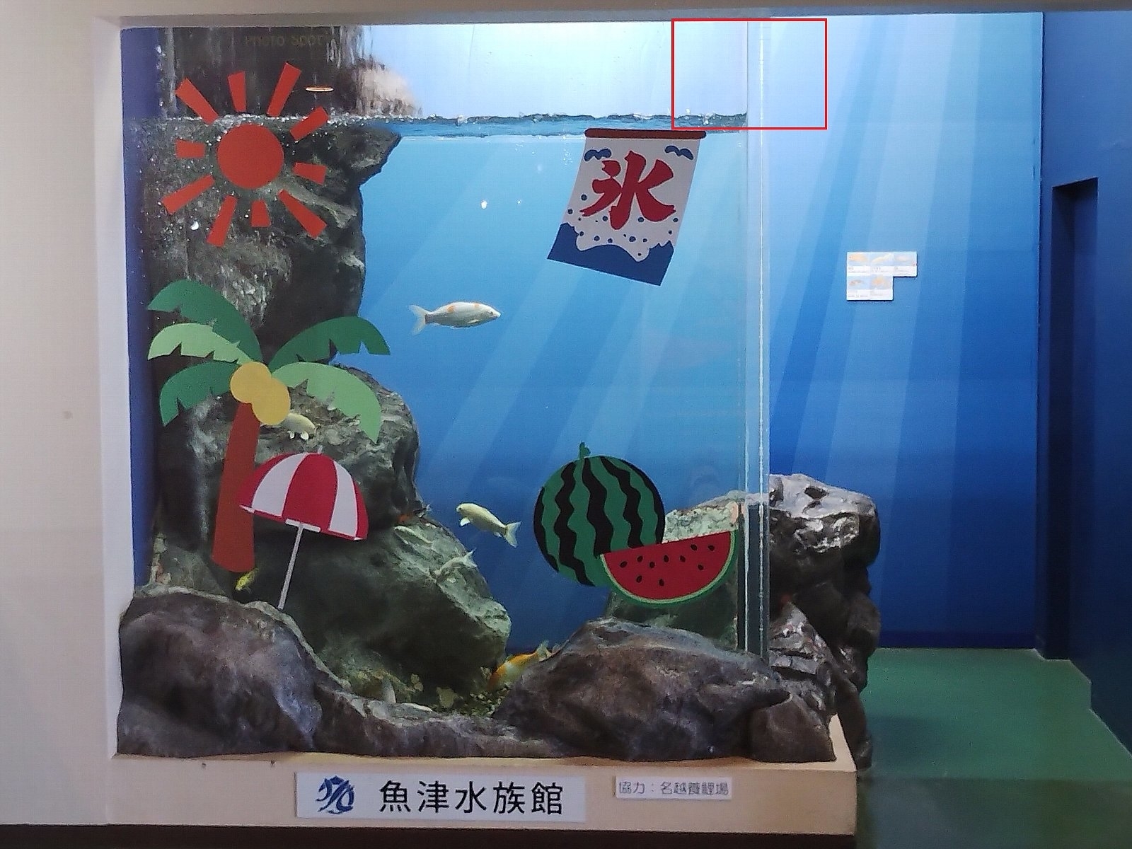ひびが入ってしまった水槽(提供:魚津水族館)