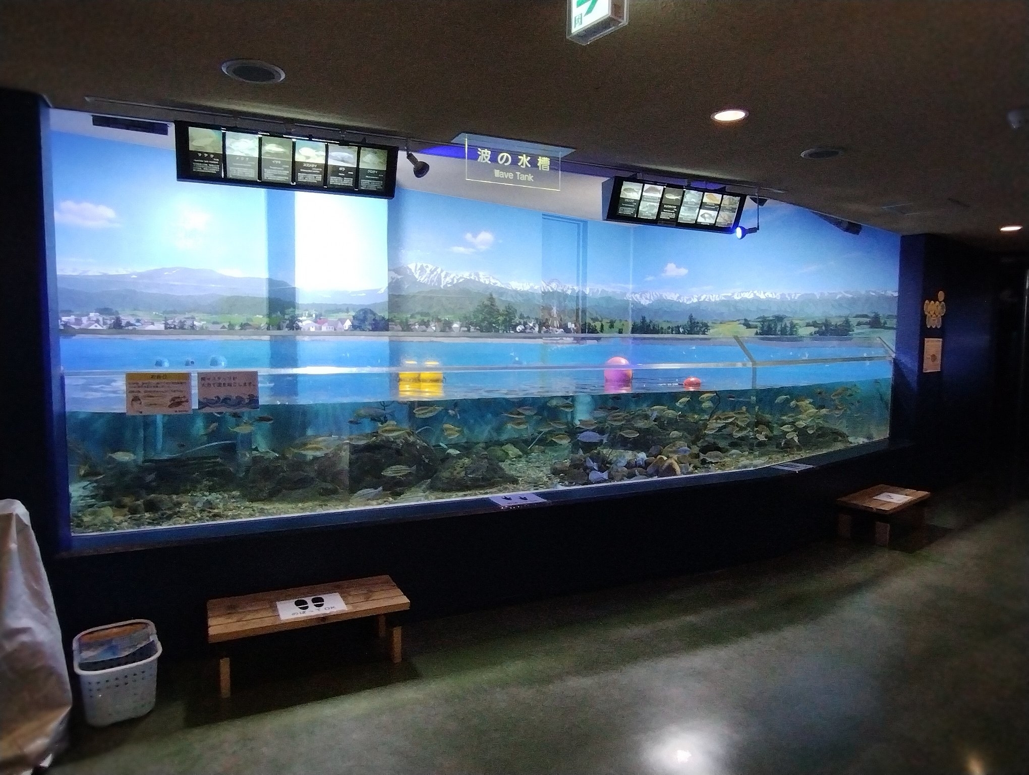 波の水槽の全体図(提供:魚津水族館)