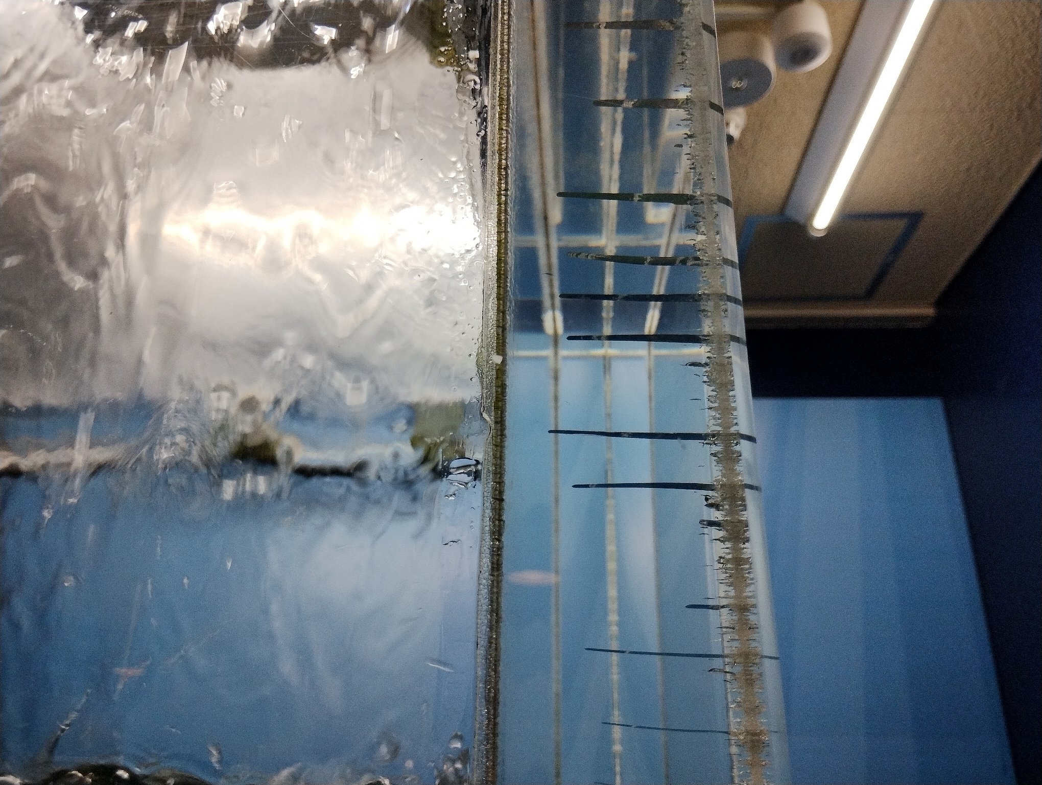 水槽の赤枠部分(提供:魚津水族館)