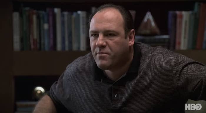 James Gandolfini, portraying Tony Soprano, sits in an office setting with a bookshelf in the background, in a scene from &quot;The Sopranos&quot; on HBO