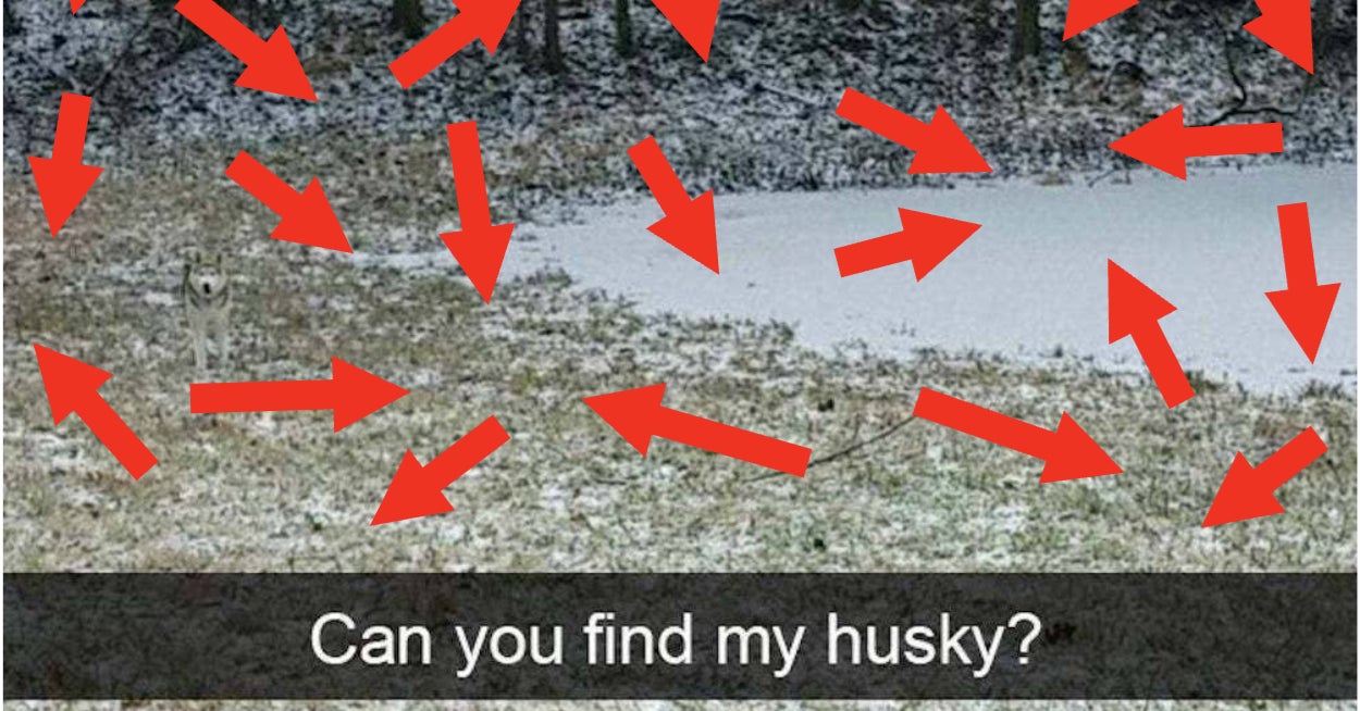 Sorry, But Only People With Perfect Eyesight Will Be Able To Find The Hidden Things In These Pictures