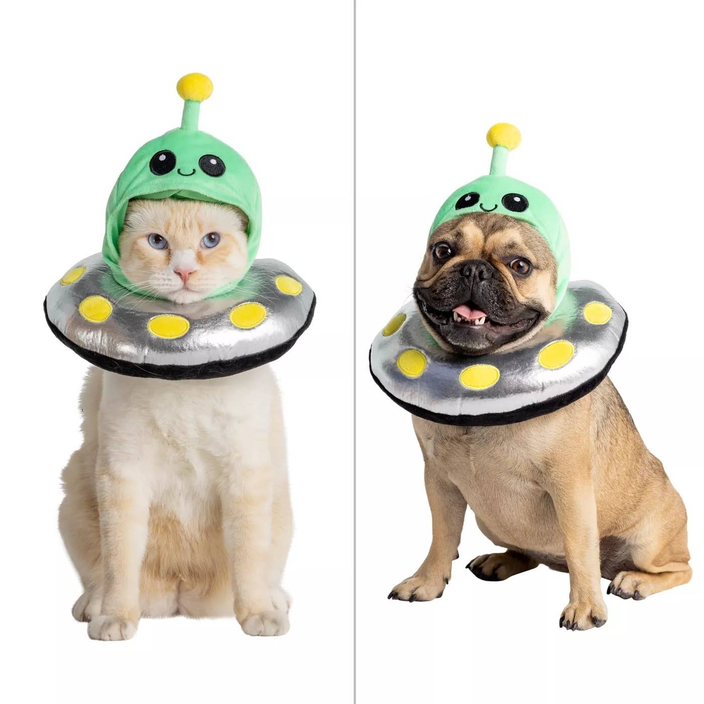 Petsmart Trick Or Treat Event for pets with treats and costumes