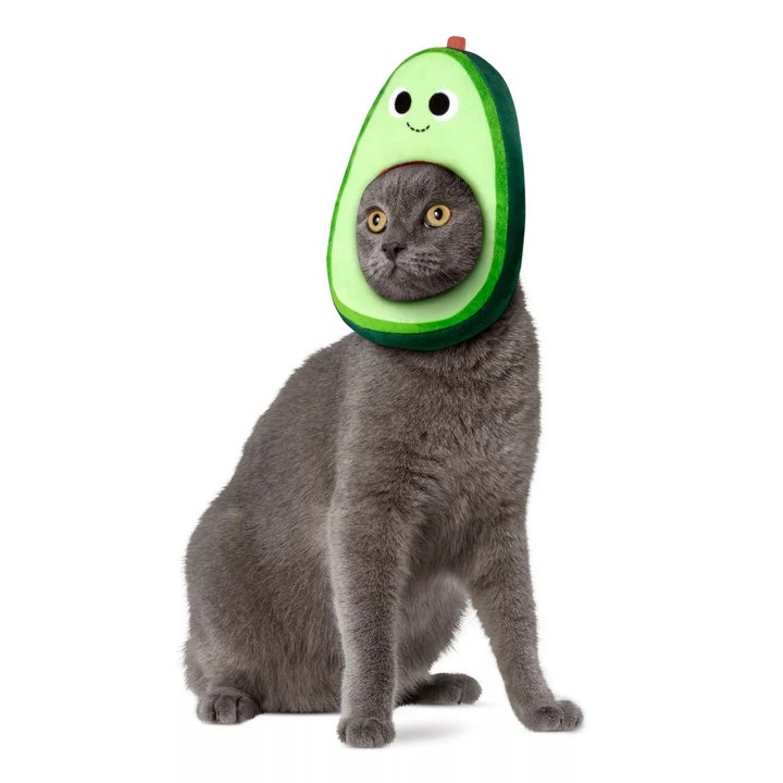 Pet Avocado Costume main image 1