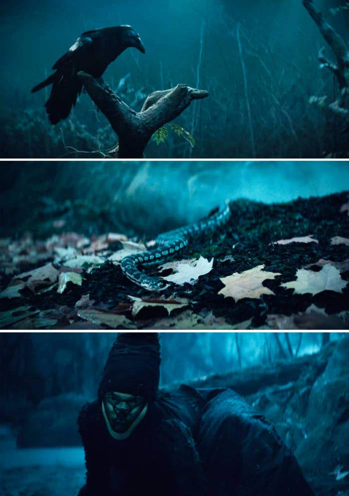 Three shots: a raven on a branch, a snake slithering on leaves, and a masked figure in a forest setting