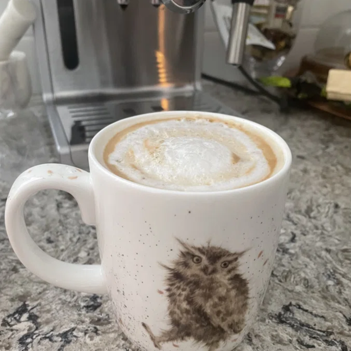 A mug with an owl design on a countertop, filled with frothy coffee, next to a coffee machine