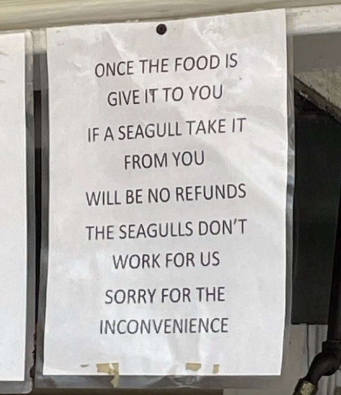 Sign humorously warns that once food is given, seagulls taking it won&#x27;t lead to refunds, as seagulls don&#x27;t work for the establishment