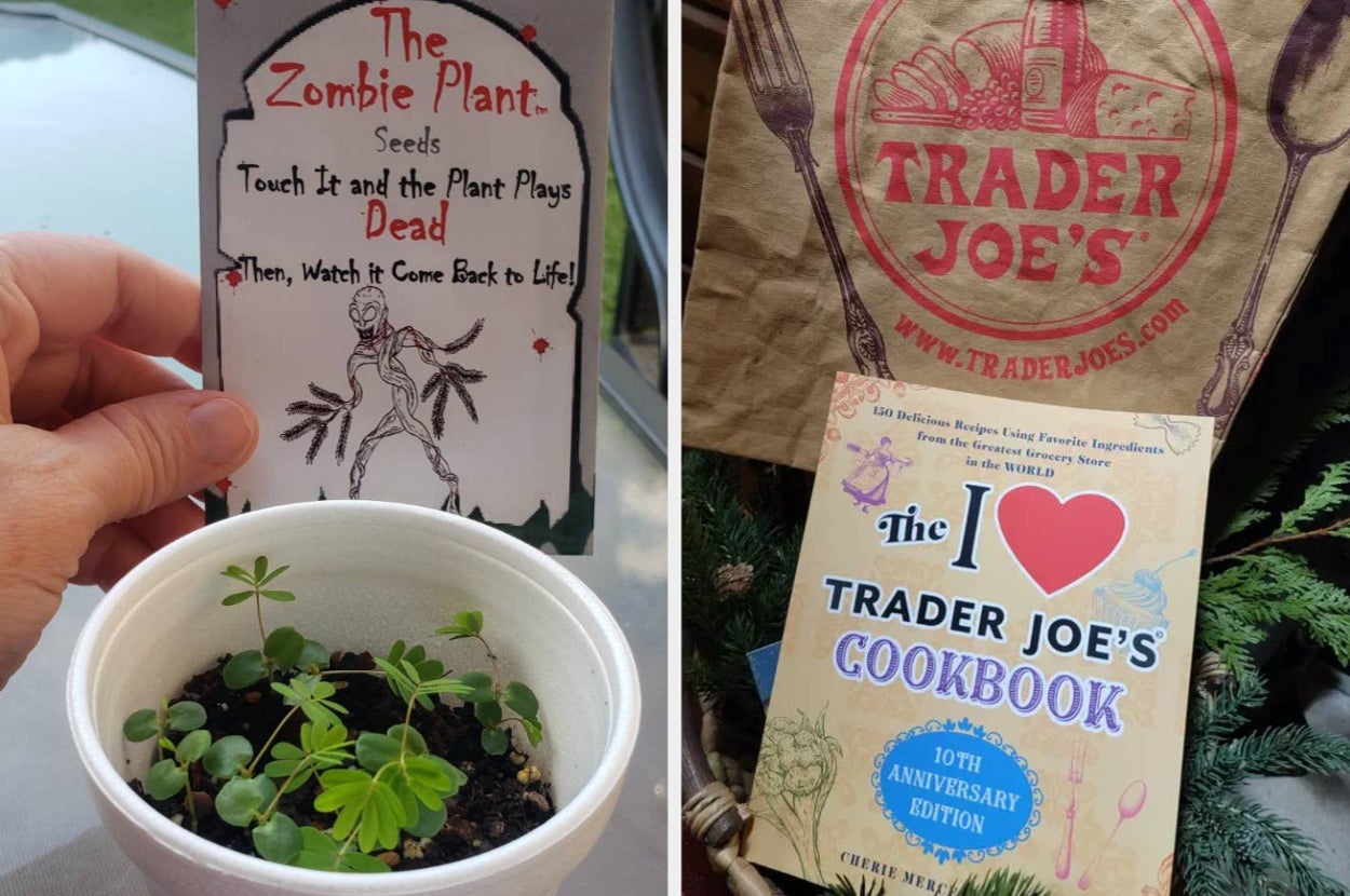 Left: Hand holding a card for "The Zombie Plant" with small potted seedlings. Right: Trader Joe's cookbook and bag on a table