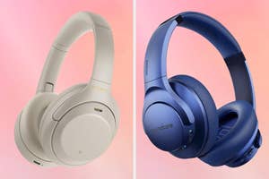 The headphones