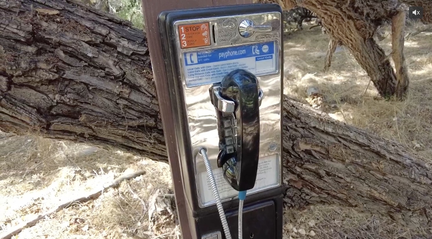 繋がらない公衆電話”、アリゾナ州の奥地で人々の心を癒す。発端は