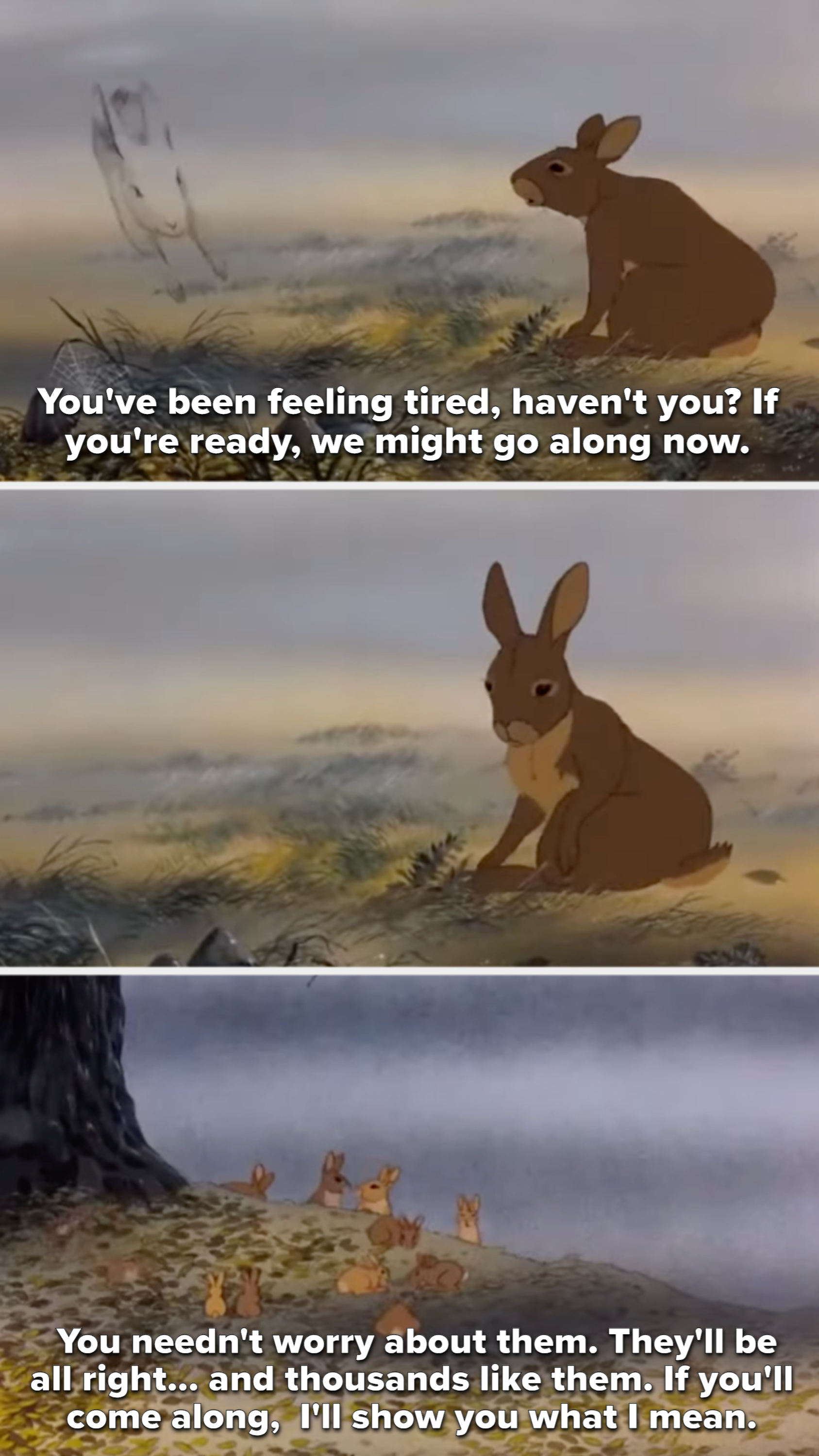 Hazel the rabbit from &quot;Watership Down&quot; is coaxed by an apparition of a bunny to join him in the afterlife; he is consoled about leaving behind the younger rabbits