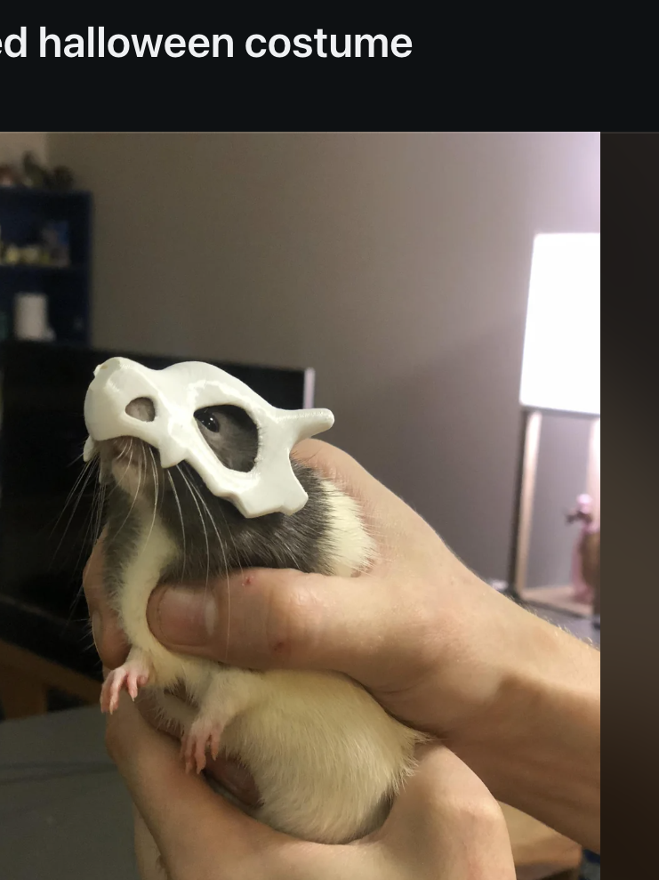 A person holds a rat wearing a small 3D-printed skull helmet. The image is a Reddit screenshot titled &quot;My pet rat&#x27;s 3D printed halloween costume&quot; by u3Dprinting