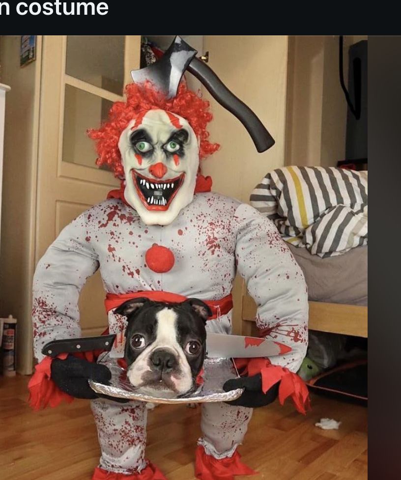 A Reddit post shows a dog in a skeleton costume with a clown riding on its back. The surrounding text includes Reddit&#x27;s user interface elements