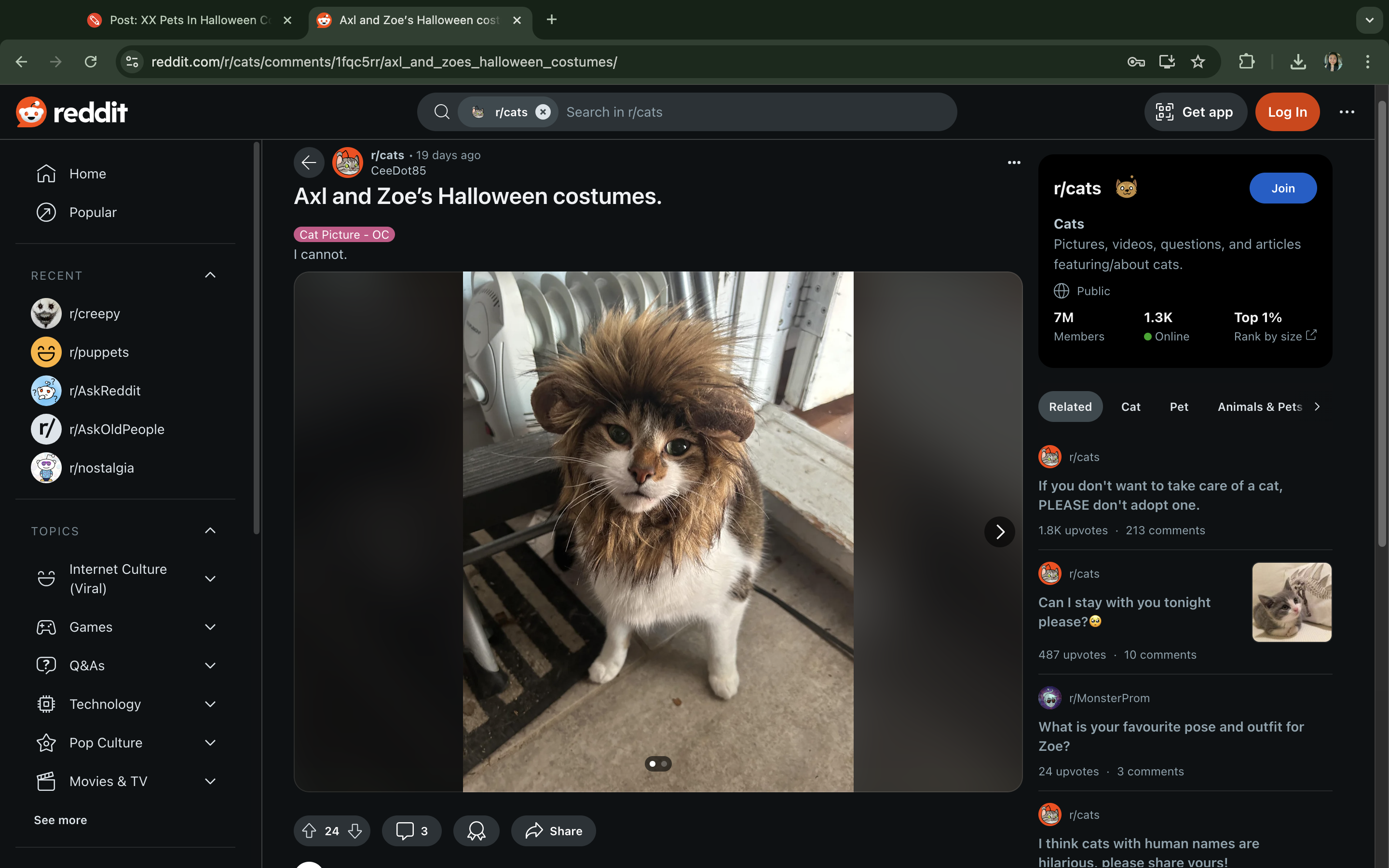 23 Best And Funny Pet Halloween Costumes