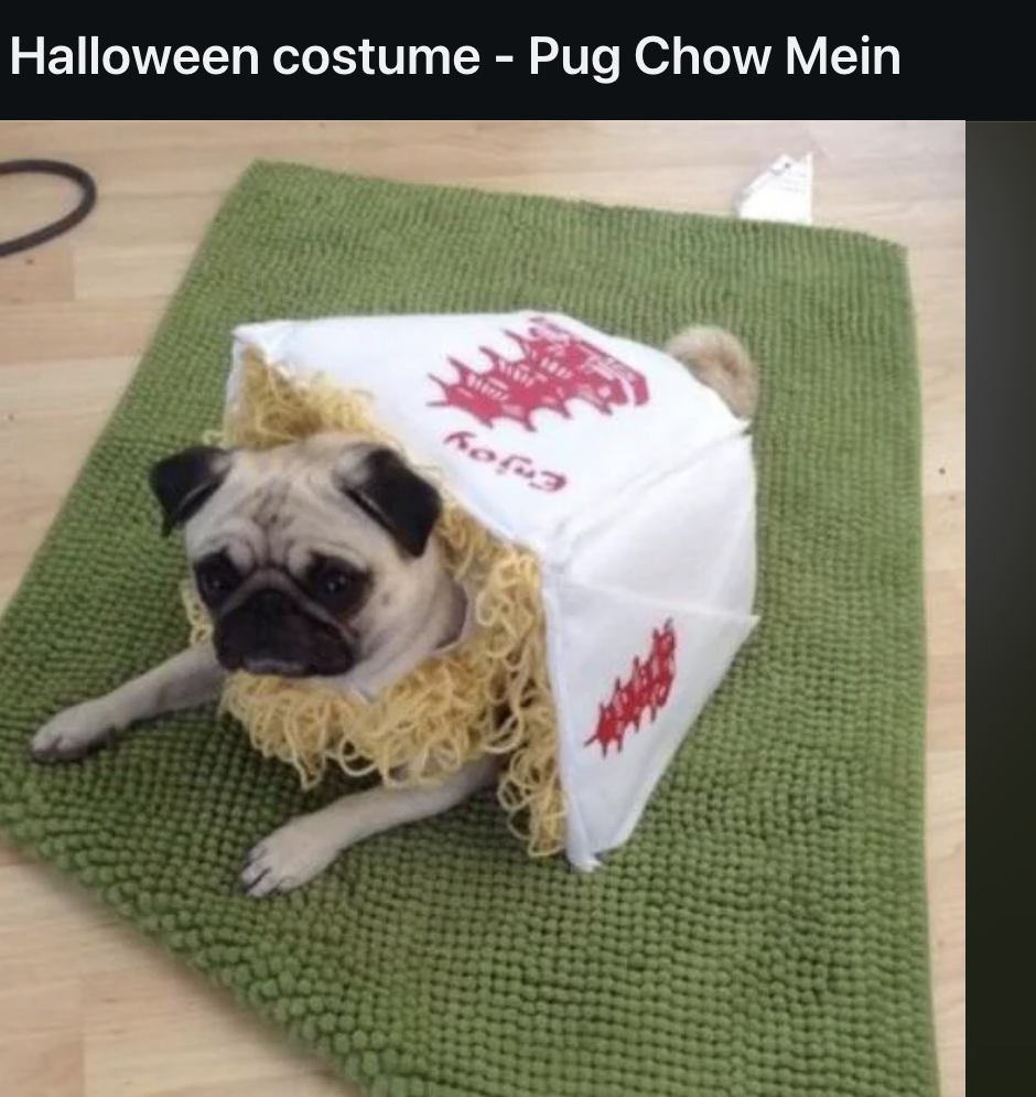 A pug wearing a costume resembling a takeout box with noodles, labeled &quot;Pug Chow Mein.&quot; The dog is lying on a green mat