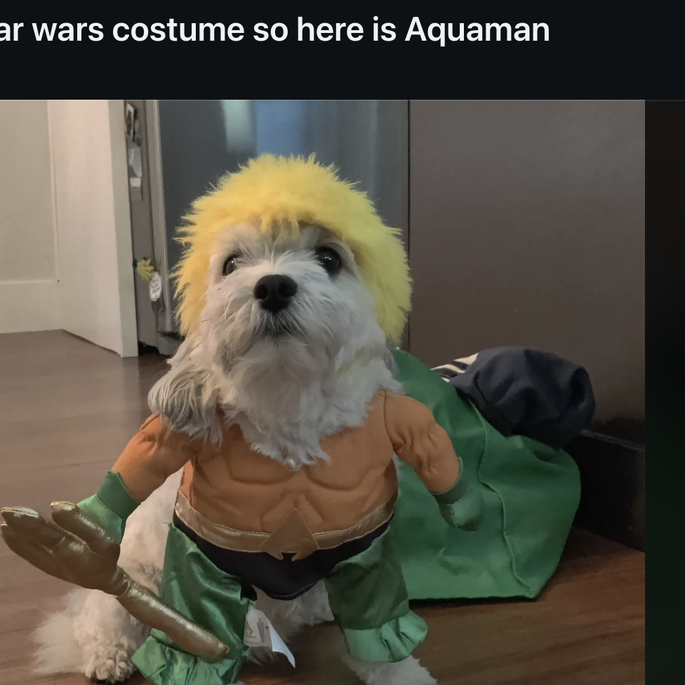 Dog dressed as Aquaman with an orange top, green pants, and holding a trident. Image posted on Reddit by user r/DOG