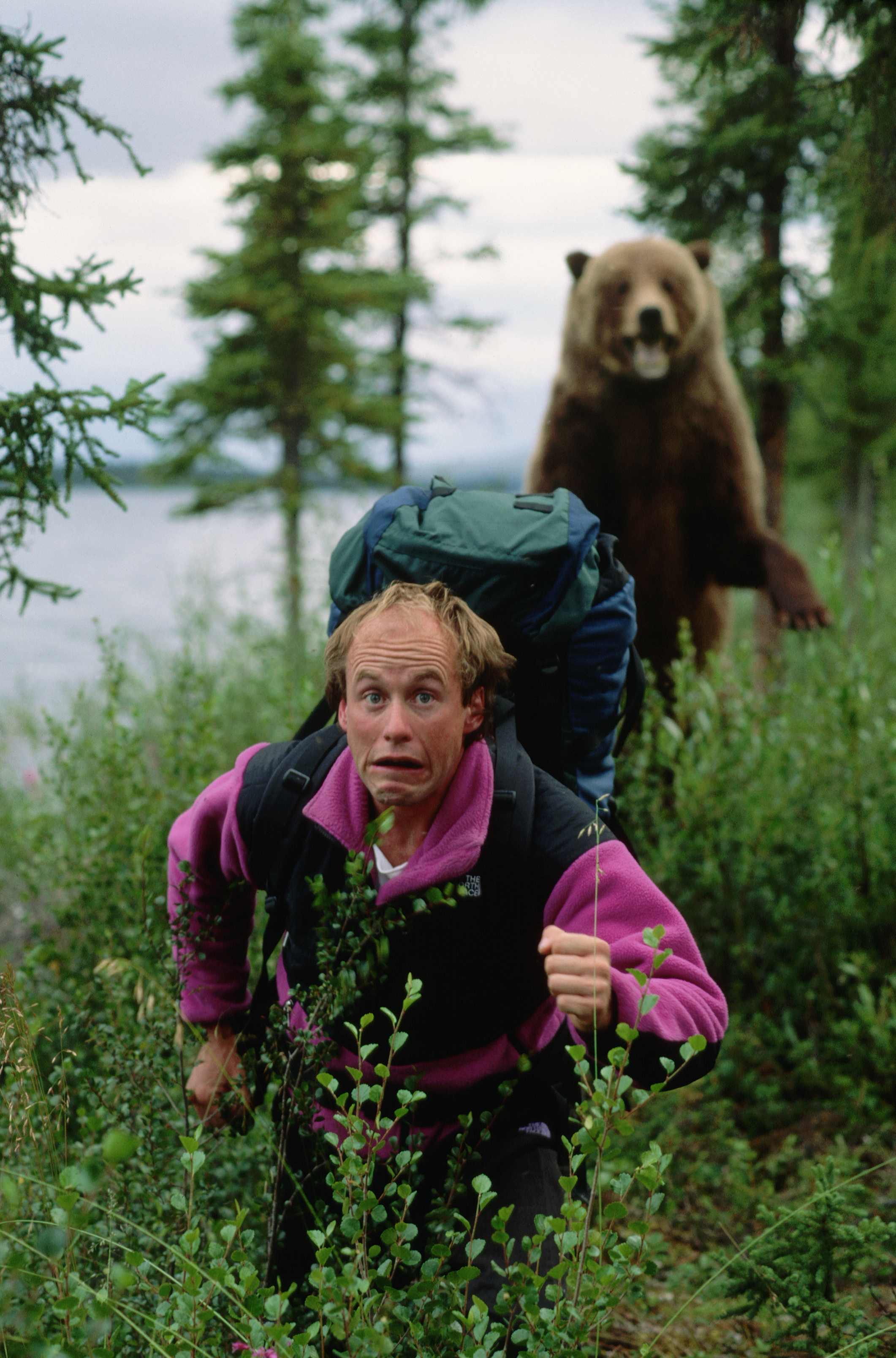 A surprised hiker in a pink jacket is running through a forest with a bear standing behind him