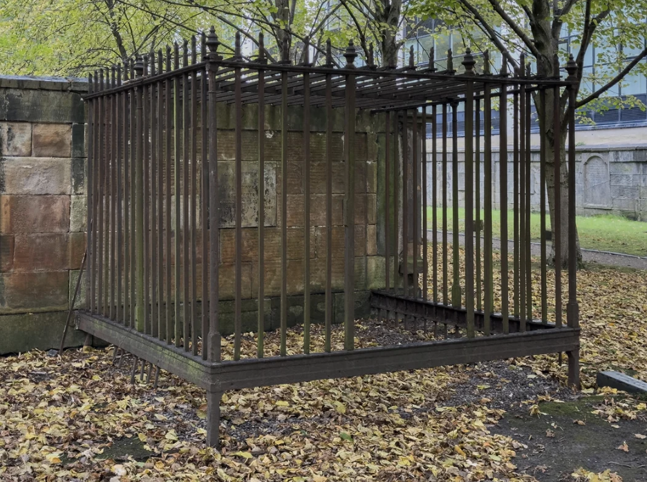 Iron cage in an outdoor setting surrounded by fallen leaves, with trees in the background