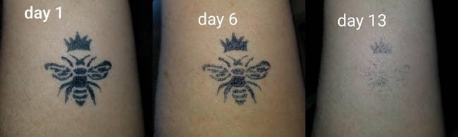 Tattoo fading over 13 days: day 1 - dark bee tattoo, day 6 - moderately faded, day 13 - significantly faded