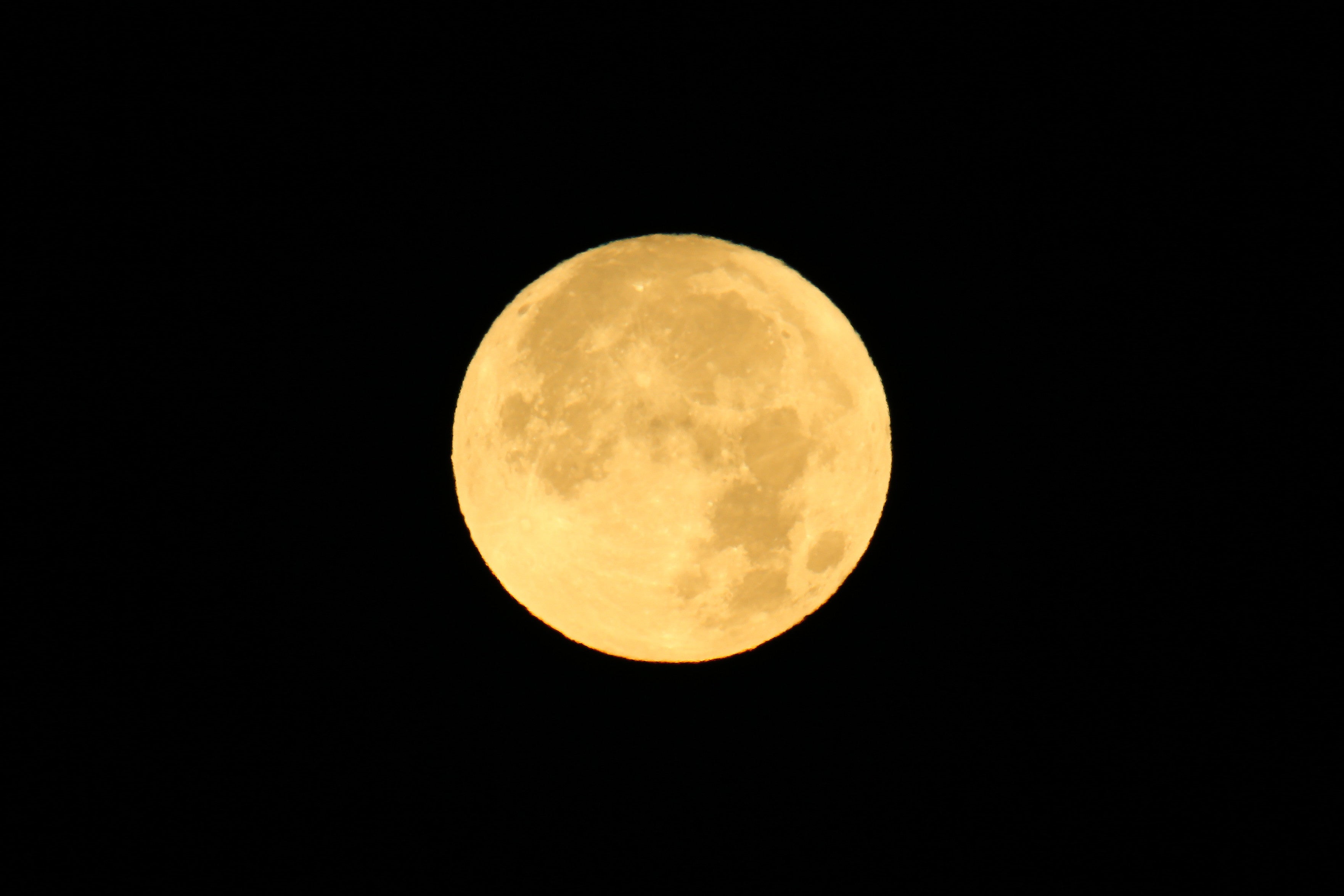 original-1523-1729148835-2.jpg