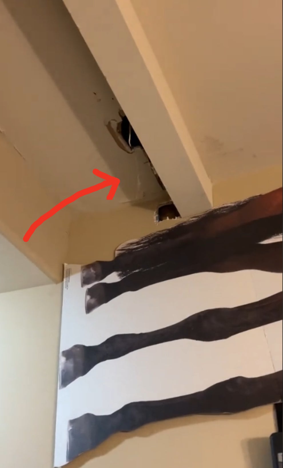 浴室を開けると、そこには……。 女性宅のインテリアが「独創的すぎる」と話題に