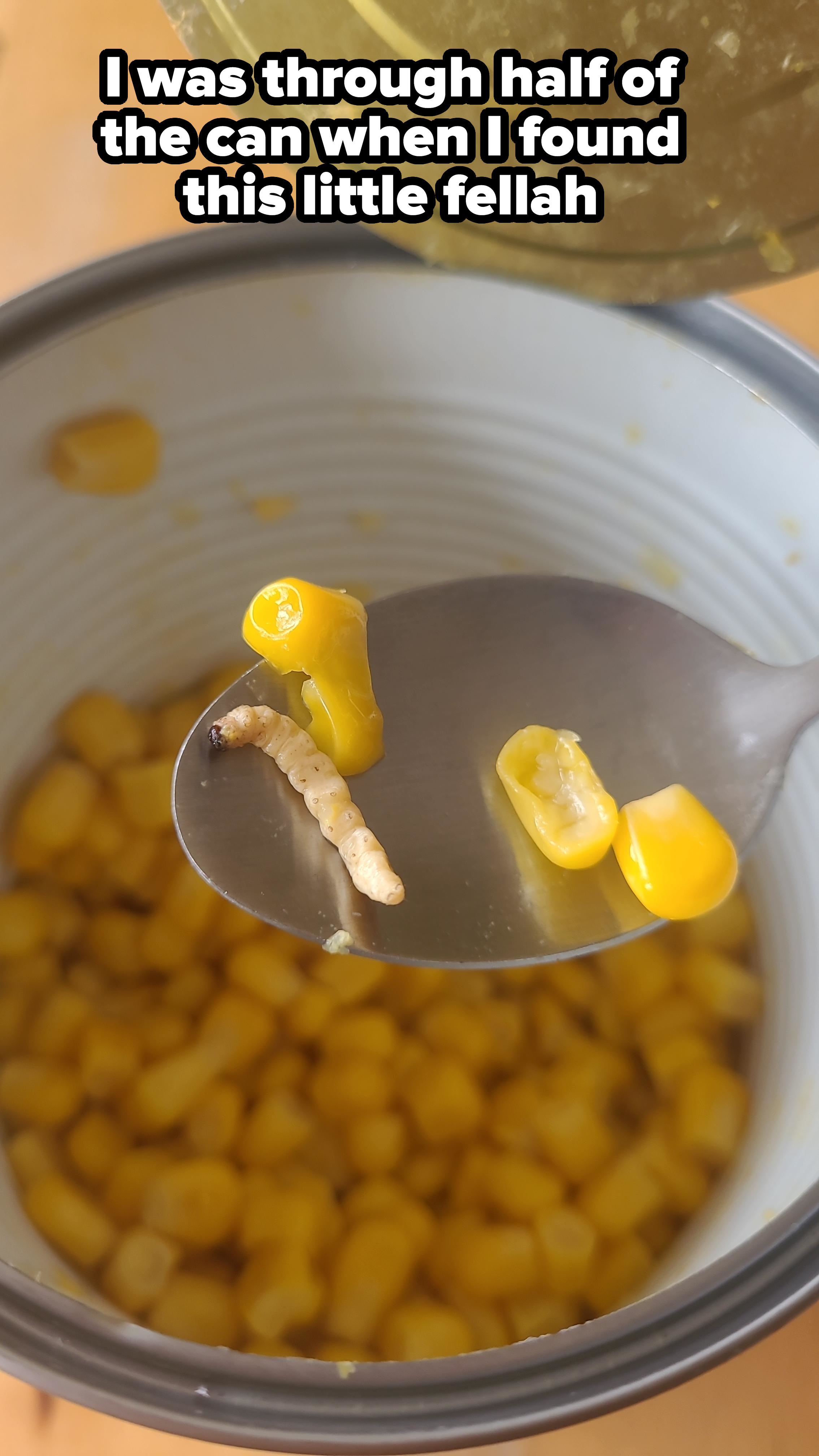 Spoon holding corn kernels and a worm over a can of corn