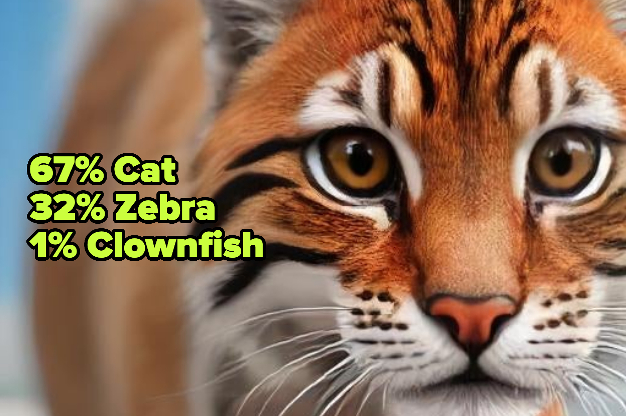 Close-up digital illustration of a fictional animal resembling a cat with text: "67% Cat, 32% Zebra, 1% Clownfish."