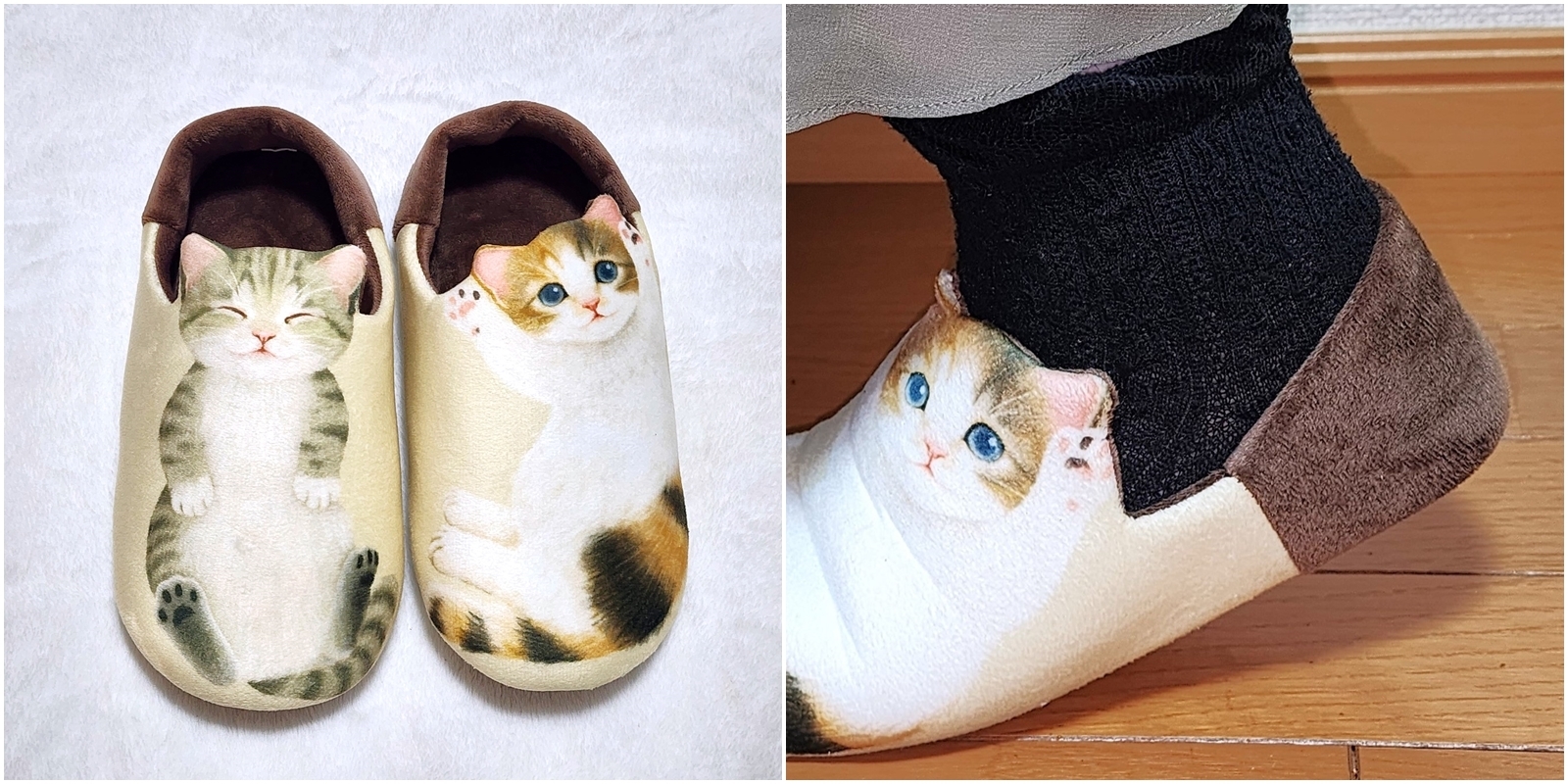 フェリシモさん、これはズルいって…！ネコちゃんが転がってる