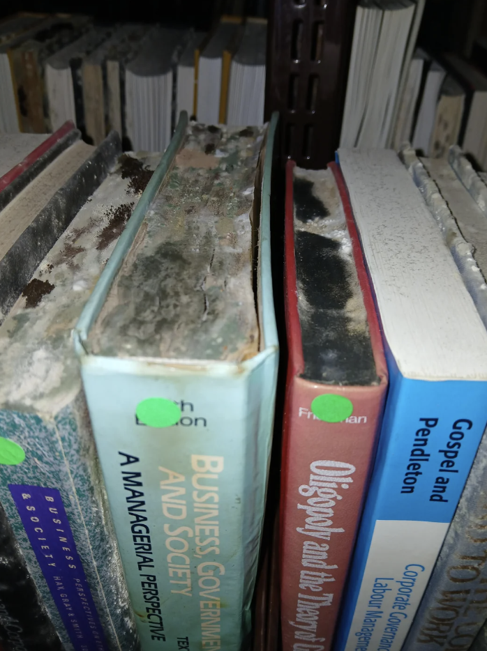 Moldy books on a shelf with green stickers on their spines, visible damage and wear, including titles on business and law topics