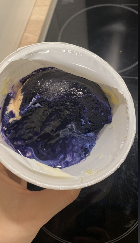 Sebuah tangan memegang wadah berisi makanan basi dengan bintik jamur besar berwarna ungu dan hitam di permukaannya