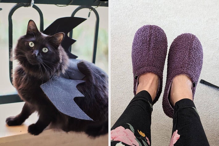 A black cat with bat wings sits on the left; on the right, a close-up of feet wearing cozy, textured purple slippers