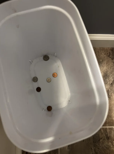 Post image 22