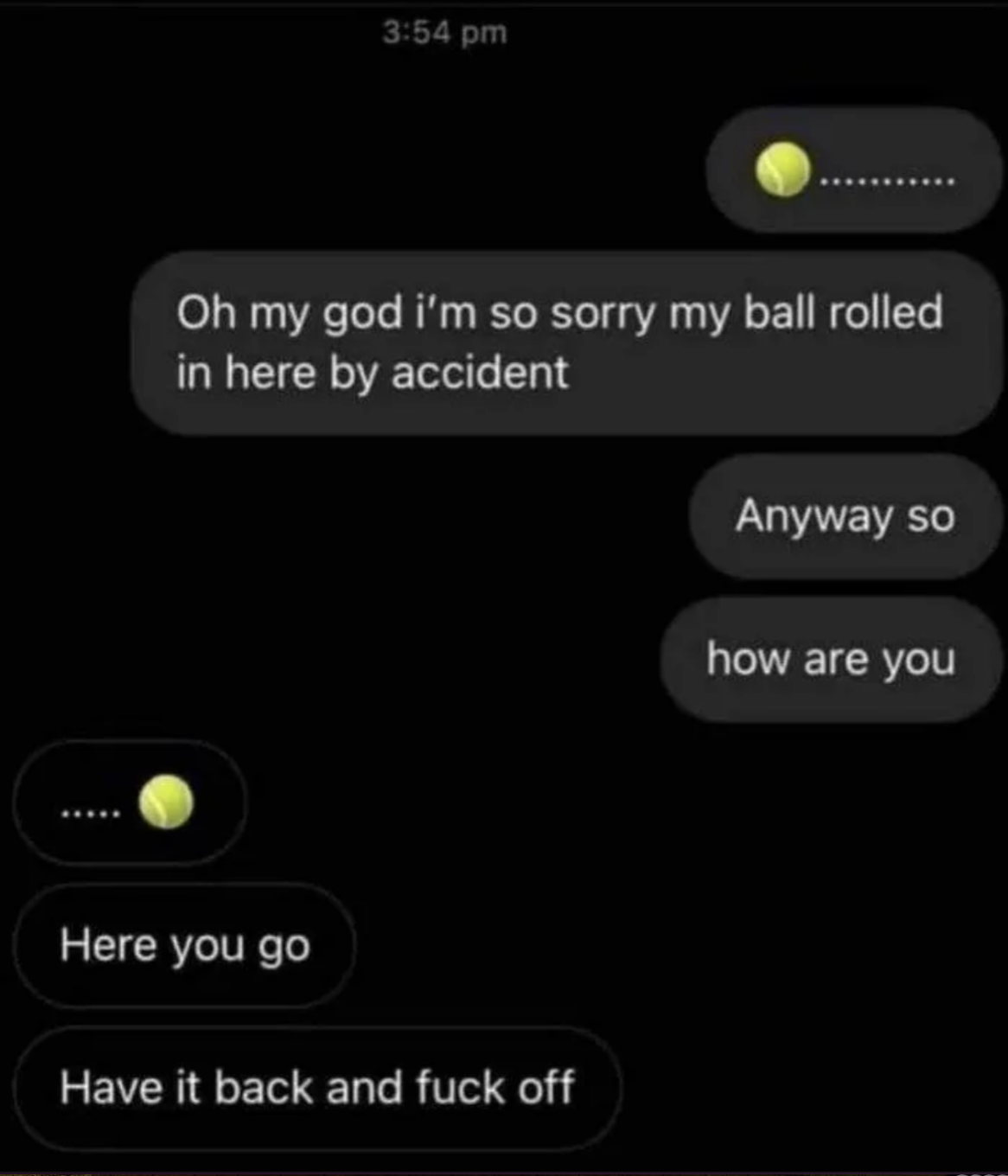 Text conversation with emojis: &quot;Oh my god, I&#x27;m so sorry my ball rolled in here by accident. Anyway, so how are you?&quot; Second reply: &quot;Here you go. Have it back and [profanity].&quot;