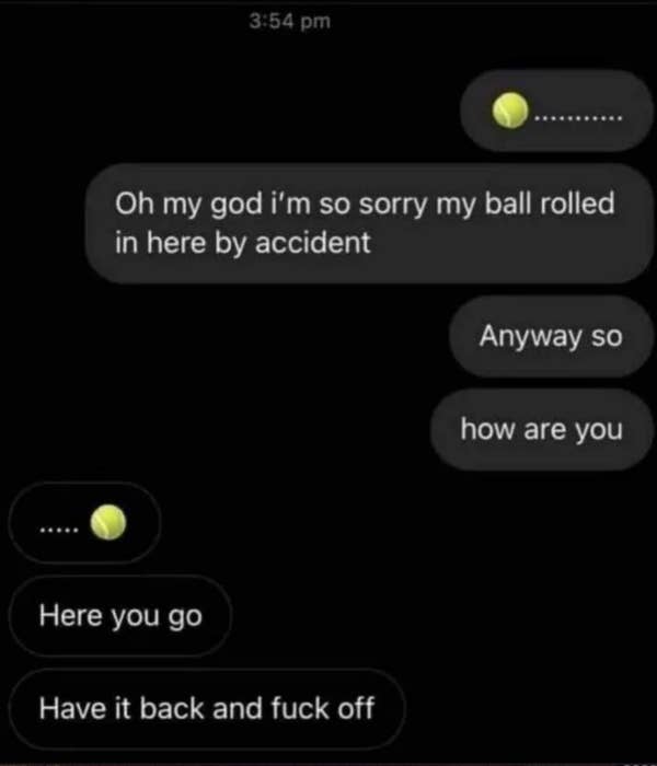 Text conversation with emojis: "Oh my god, I'm so sorry my ball rolled in here by accident. Anyway, so how are you?" Second reply: "Here you go. Have it back and [profanity]."