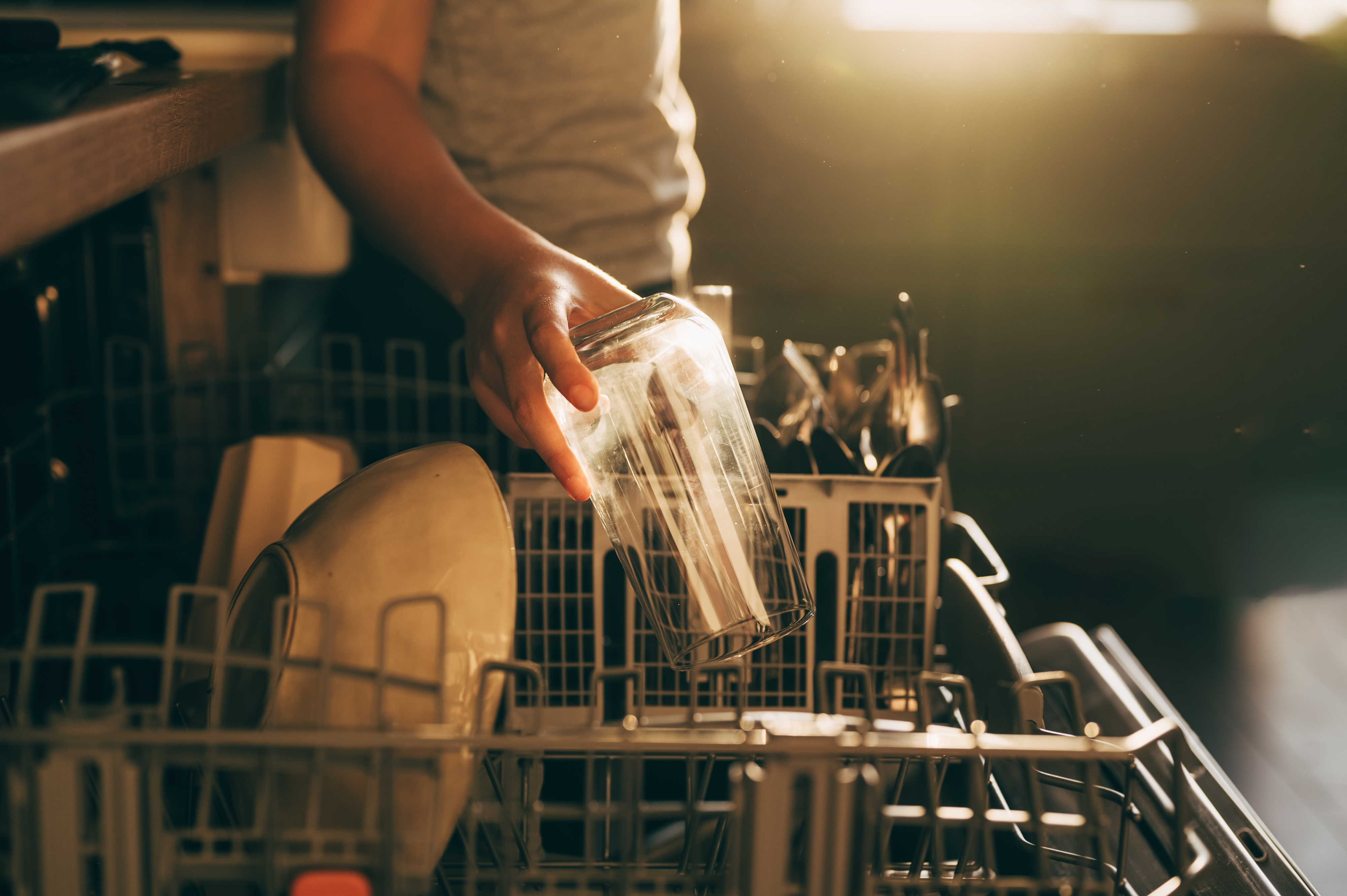 A person loading a glass into a dishwasher with sunlight streaming in