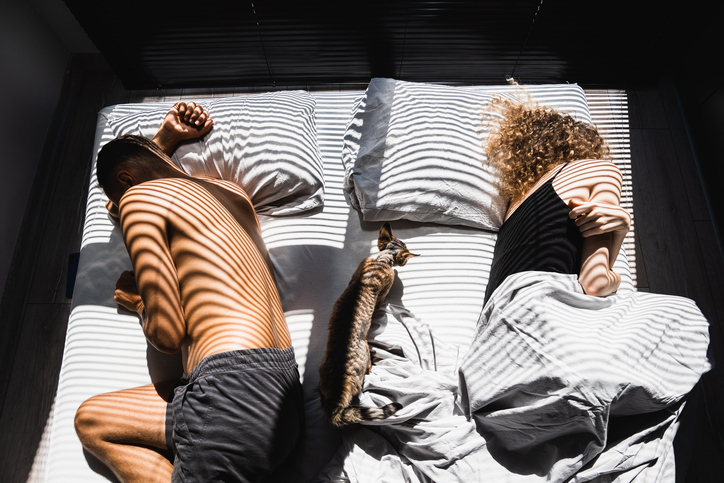 Two people sleep on a bed with a cat between them, light creates stripes across the scene