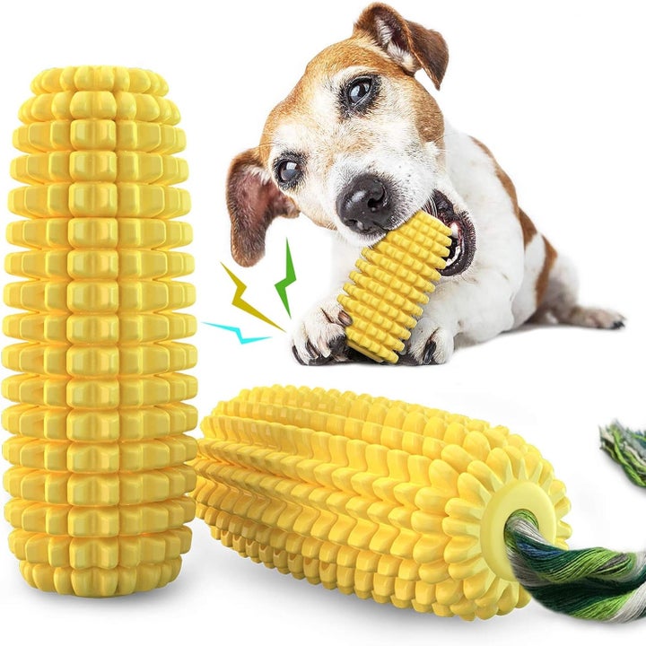 Dog Toys That Make Tails Wag, Owners Laugh