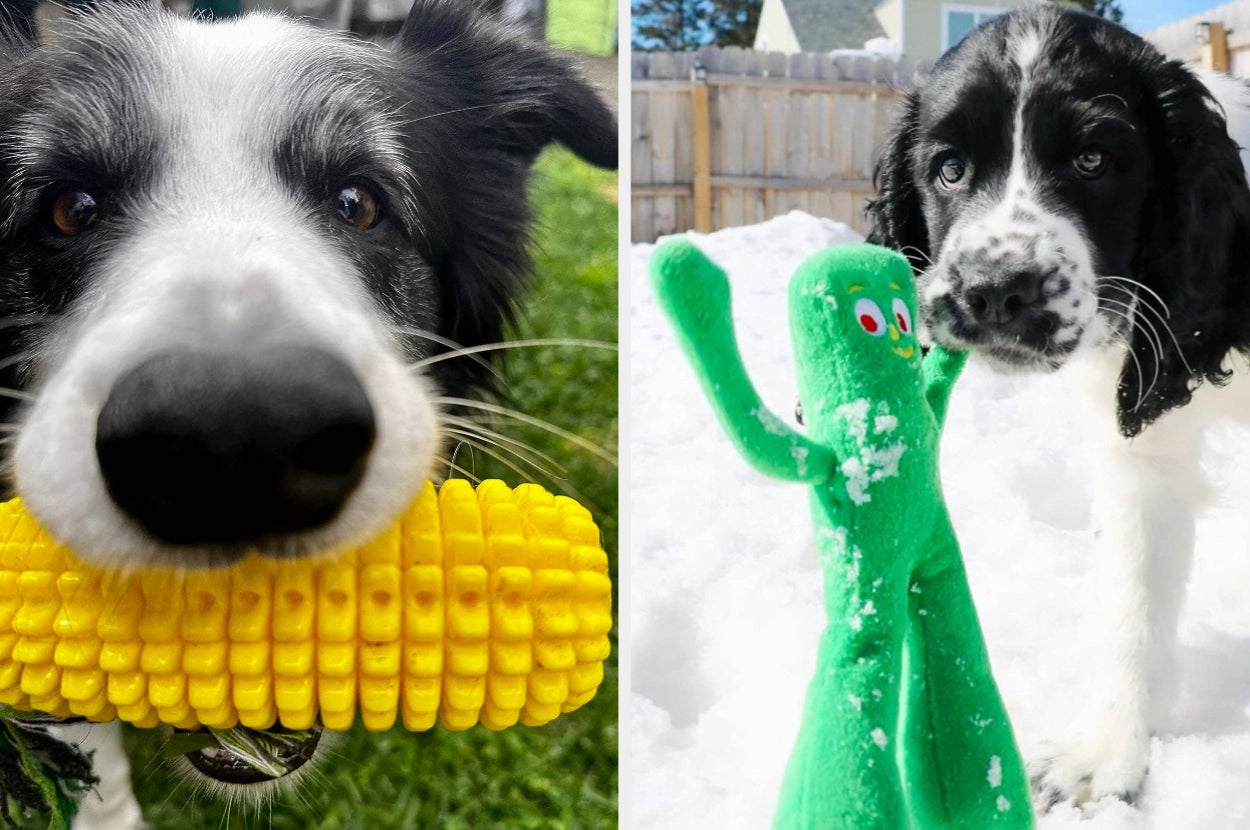 A playful brown and white dog with a corn toy on the left; a black and white dog with a green figure toy in snow on the right