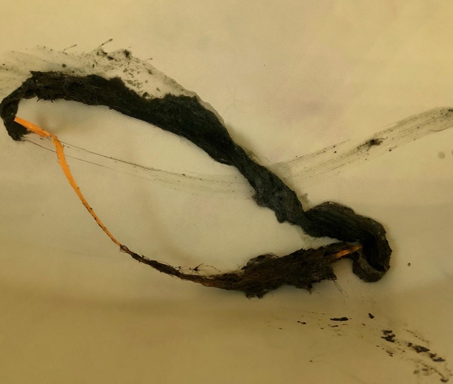 A patch of moldy black substance on a white surface, with thin orange strands visible