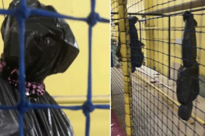 黒い袋がフェンスに掛けられている画像。場所は不明で、詳細はわかりません。