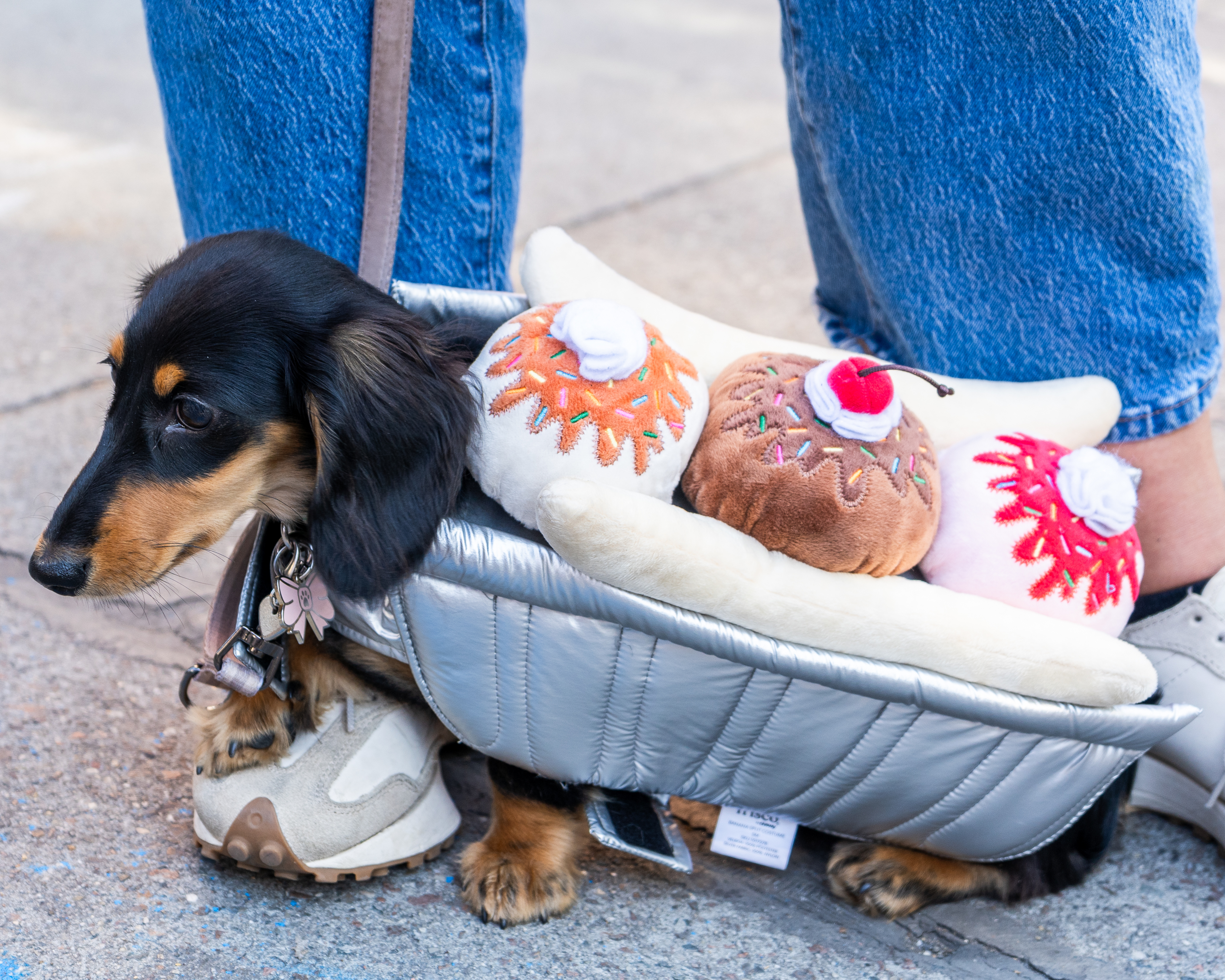 Dachshund dressed in a plush dessert costume, resembling a banana split, with human feet in jeans and sneakers nearby