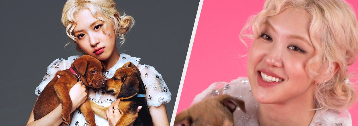 A person holding puppies with two similar outfit styles in a comparison image, posing playfully with a vintage touch