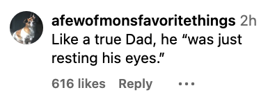 Comment screenshot from Instagram. Username: afewofmonsfavoritethings. Text: &quot;Like a true Dad, he &#x27;was just resting his eyes.&#x27;&quot;