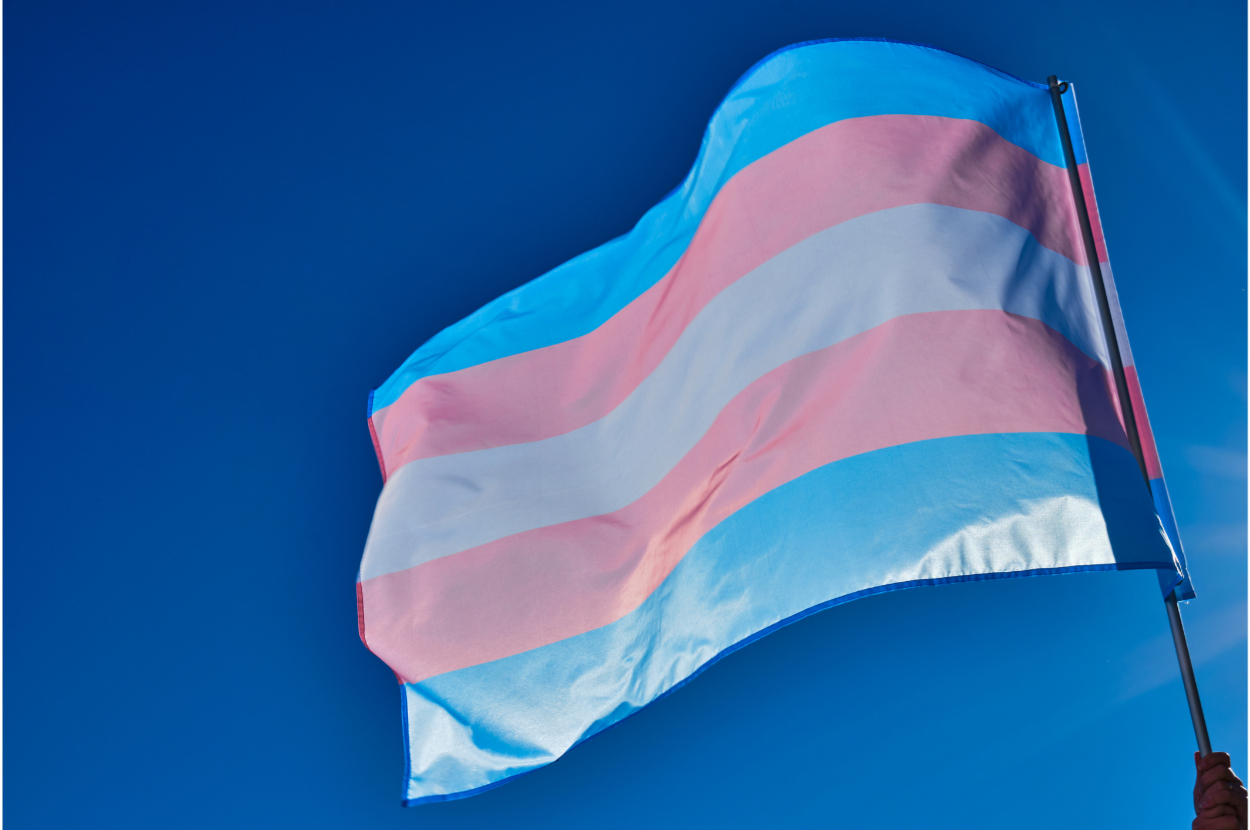 The image shows a transgender pride flag waving against a clear sky