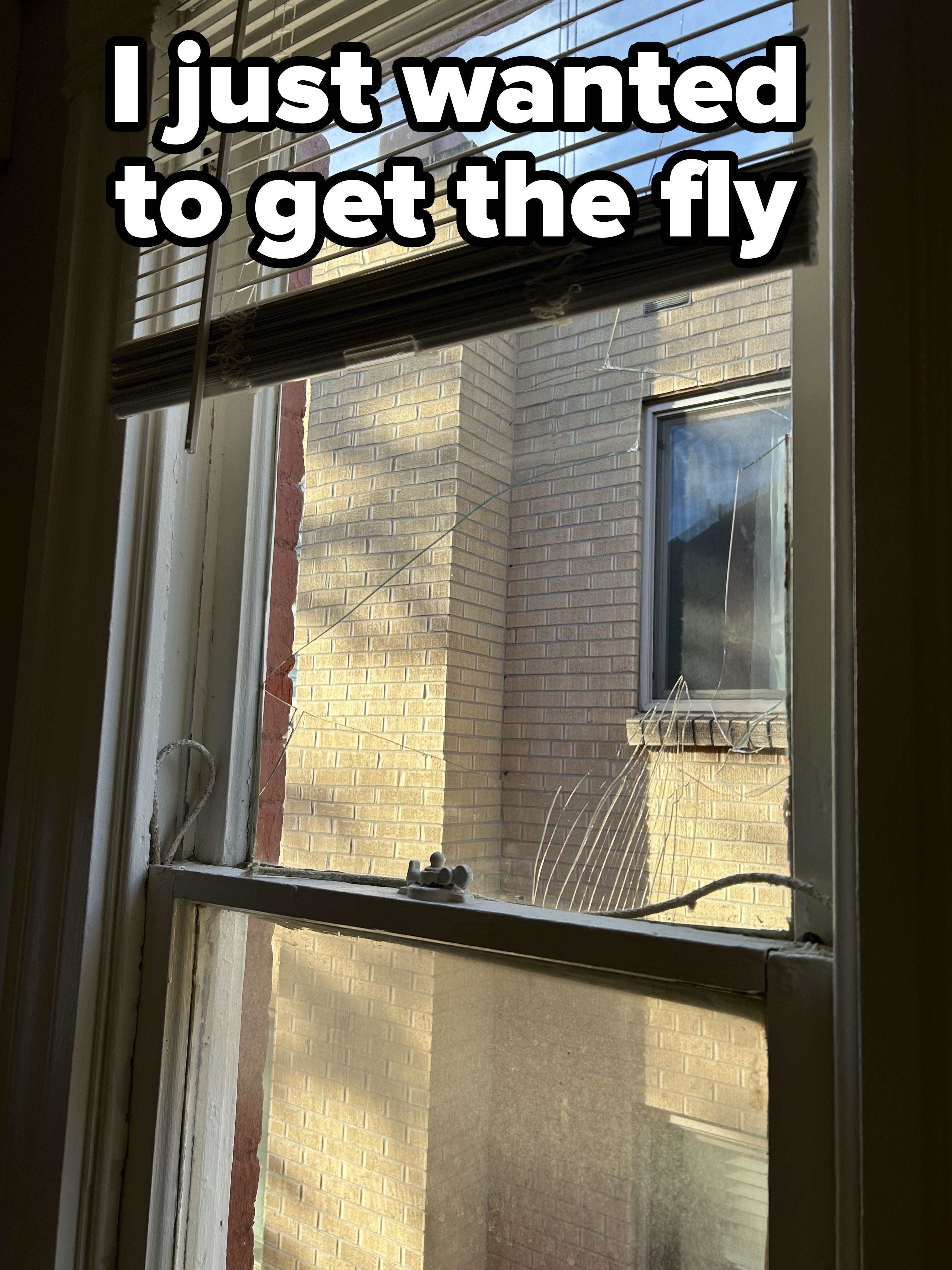 A cracked window with white blinds partially raised, showing a view of a brick building across the alley