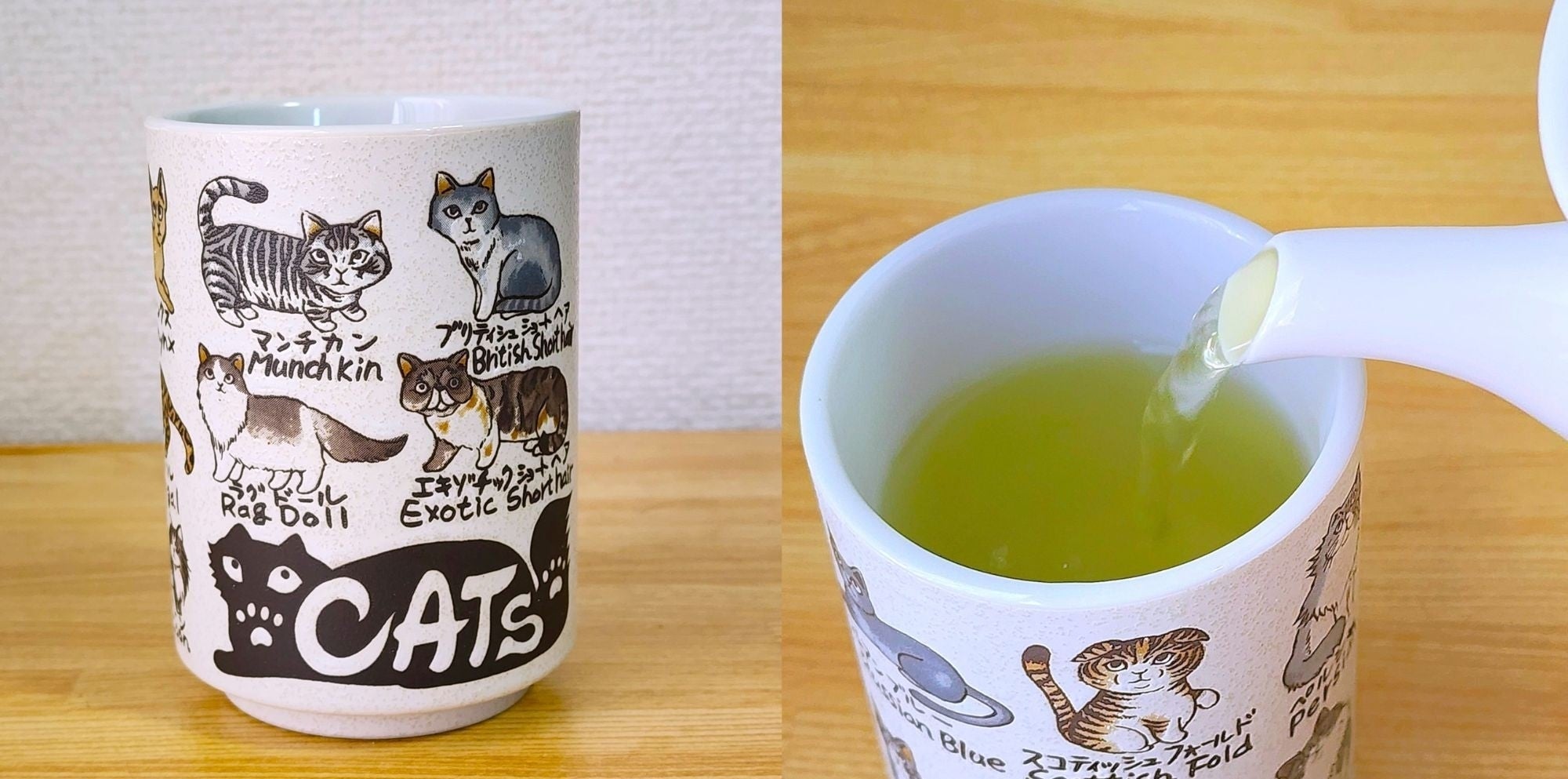 ニトリ】家のコップ、全部これにしたい！ねこ図鑑みたいな「激かわ