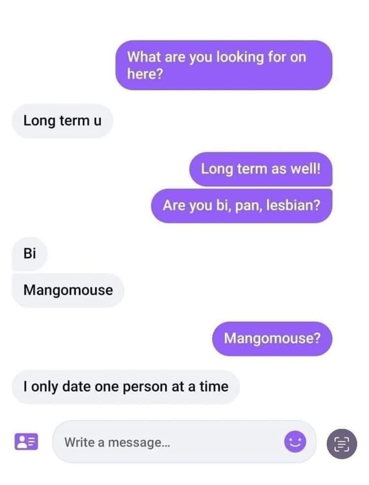 Text conversation: Person asks about relationship intentions; mentions bi, pan, lesbian. Other person replies &quot;Mangomouse&quot; and explains they date one person at a time