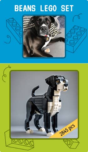 Create Custom LEGO Sets For Your Pets With New Generator